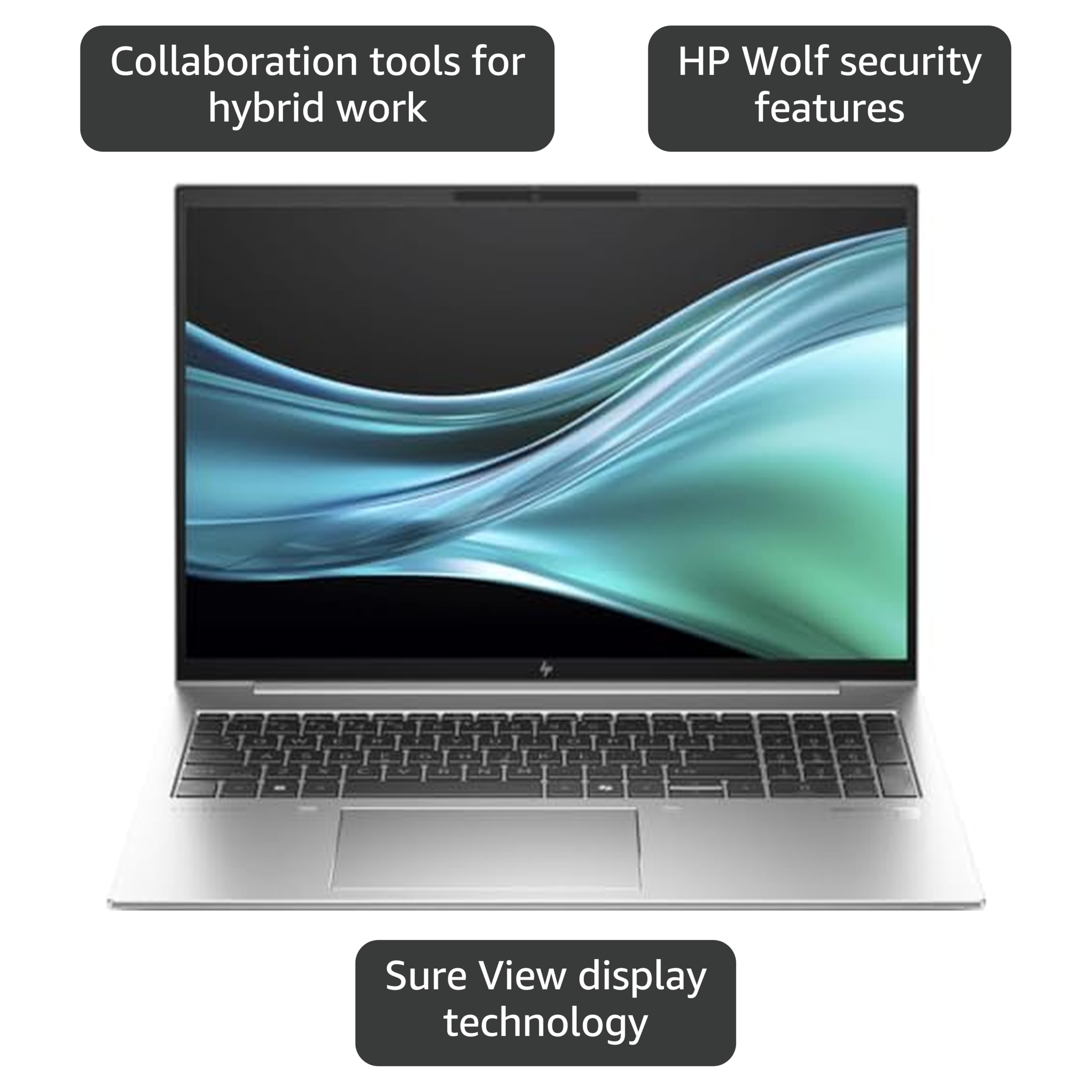 Amazon.com: HP EliteBook 865 G11 16