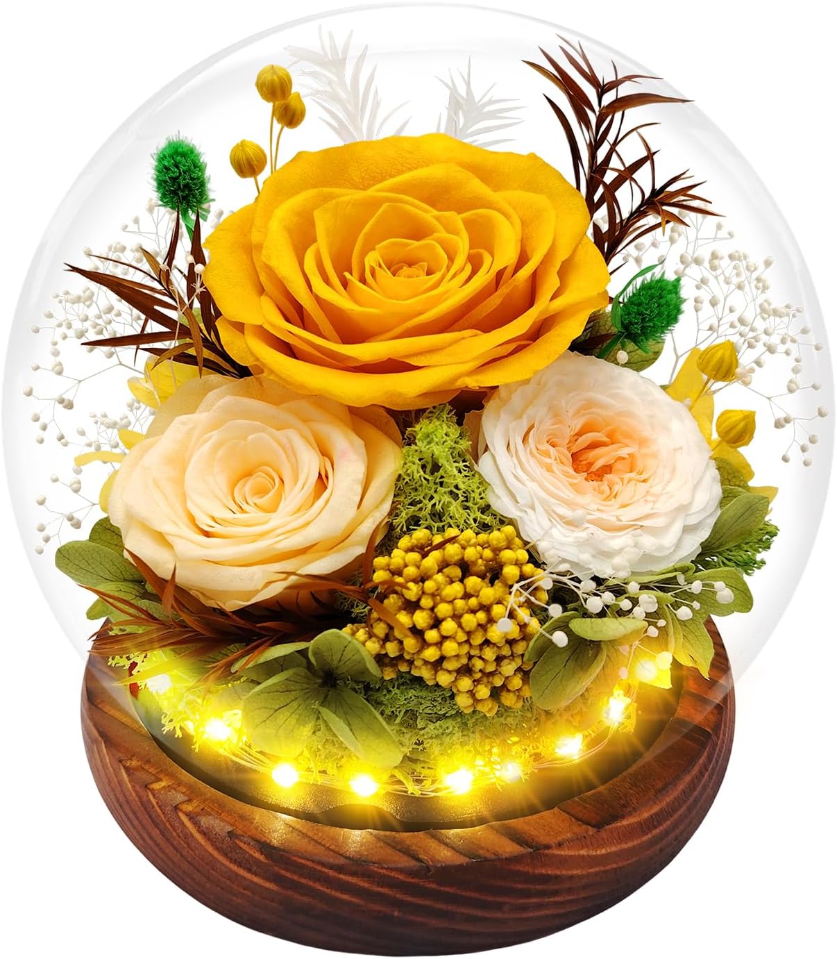 Preserved Rose Forever Flowers in Glass Dome Gifts for Women, Long-Lasting Real Flowers, Eternal Rose Birthday Gifts for Mom Valentines Day Anniversary for Wife Girlfriend