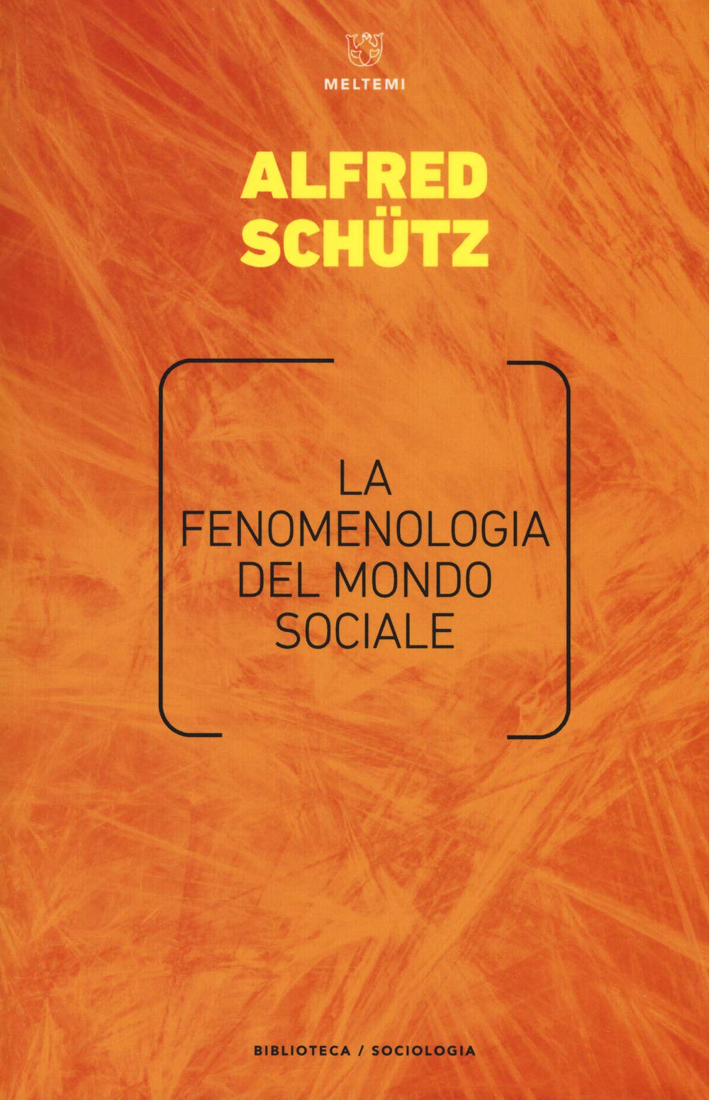 La Fenomenologia Del Mondo Sociale - 4