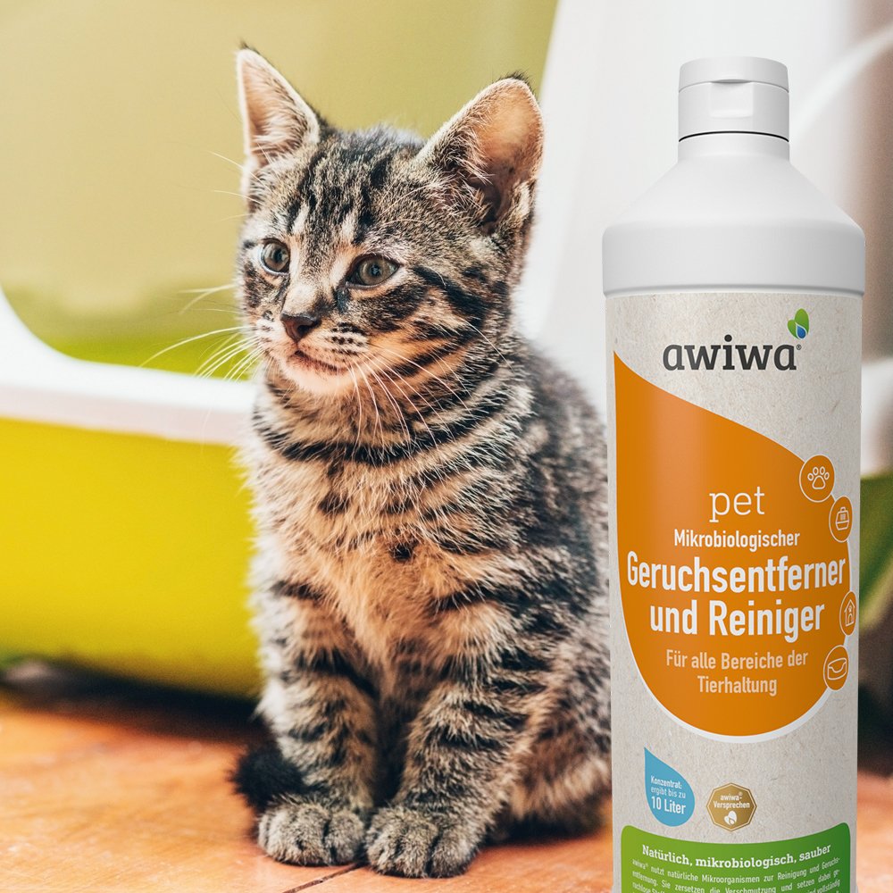 awiwa® pet Mikro­biologischer Tier-Geruchsentferner Konzentrat – gegen Tierurin Geruch & Flecken, für Hund Katze Haustier geruchsneutralisierend (10 Liter)