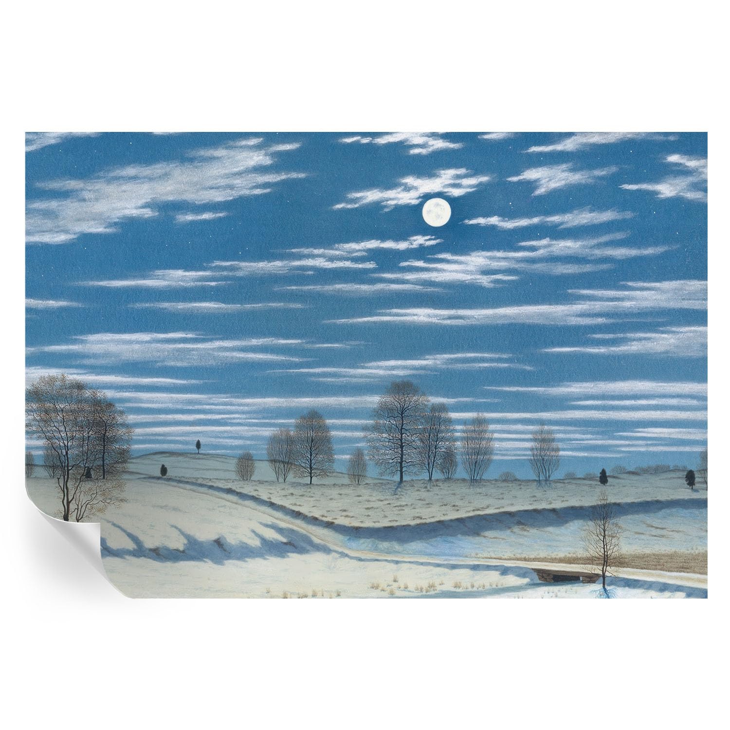 Cubiertas murales de vinilo premium con ilustraciones detalladas de paisajes invernales