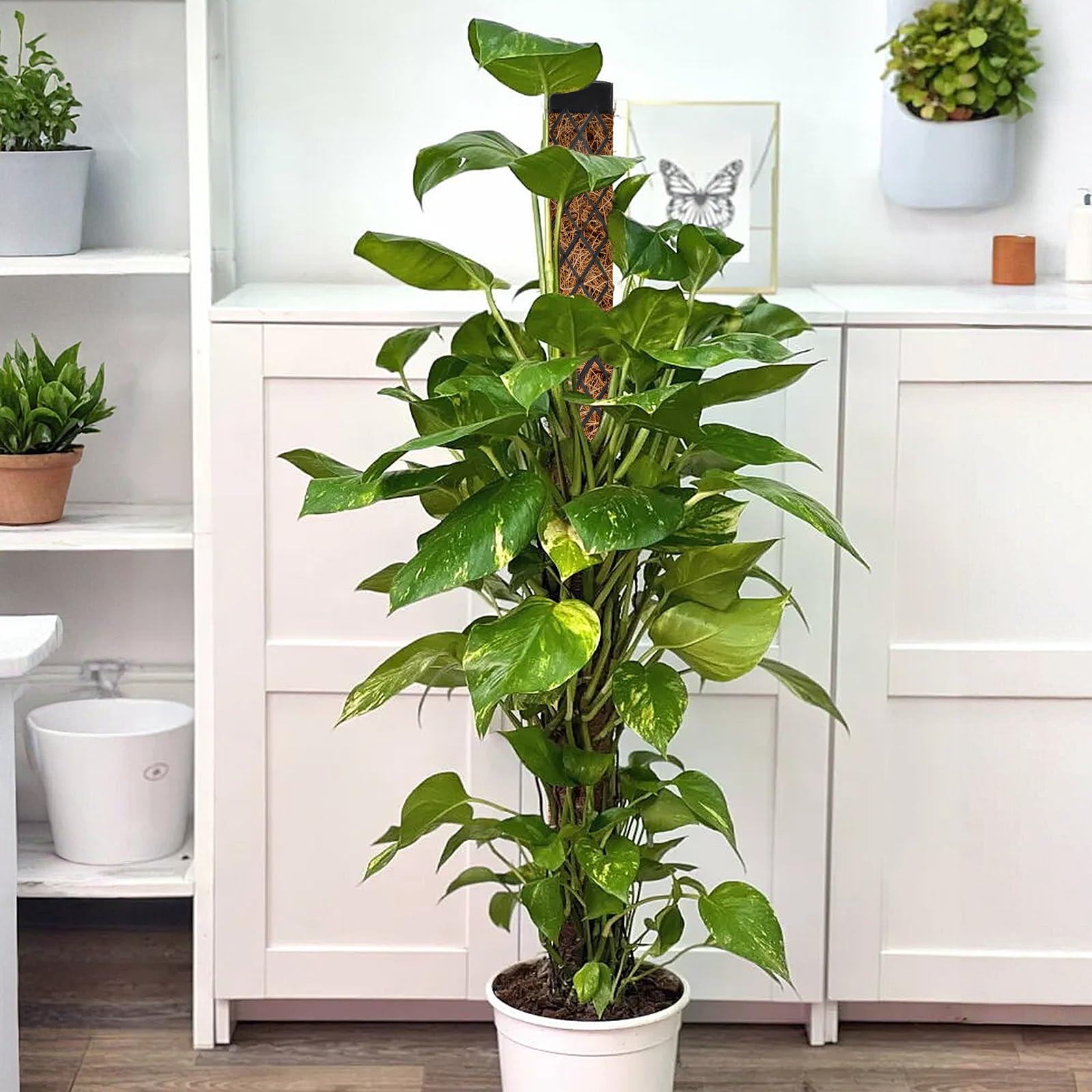Pali di Muschio di Plastica Sfagno per Palo Moss Pole Muschio Bastoncini per Pianteimpilabili in Plastica con Piante Supporto per l'irrigazione Fascette, Bastone Muschio Autoirrigante, Nero