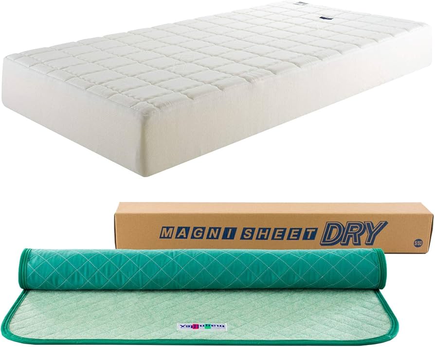 【セット買い】マニフレックス マットレス 高反発 多層構造 T75 セミダブルマニフレックス 除湿シート 消臭 抗菌 マニシート・ドライ ダブル・クイーン兼用 洗濯可