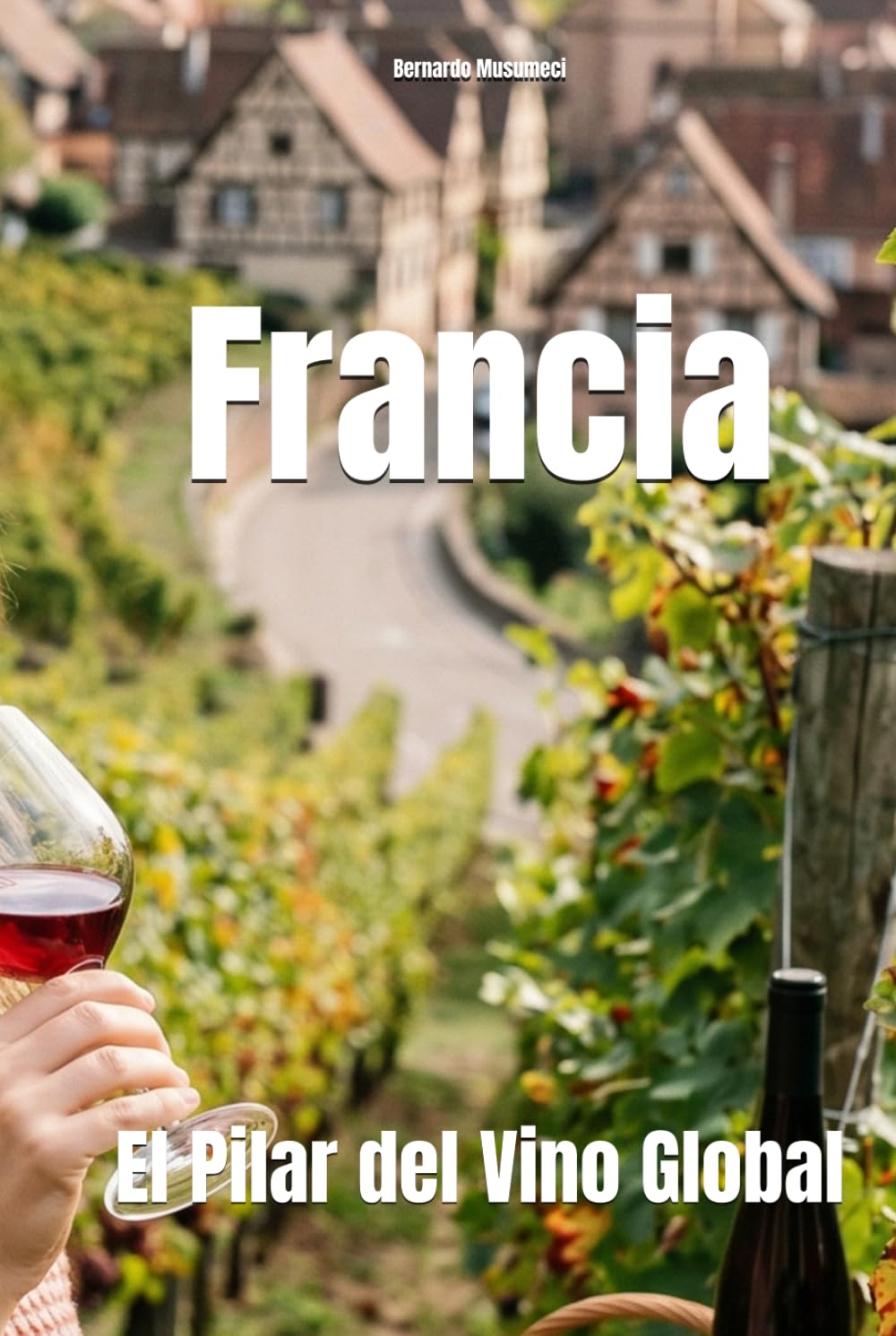 Francia: El Pilar del Vino Global (Wines of the World: France)