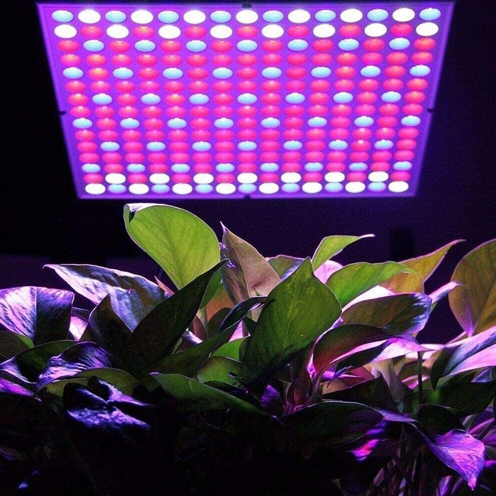 Amazon.co.jp: Ledグローライト、屋内植物栽培Led Grow Light