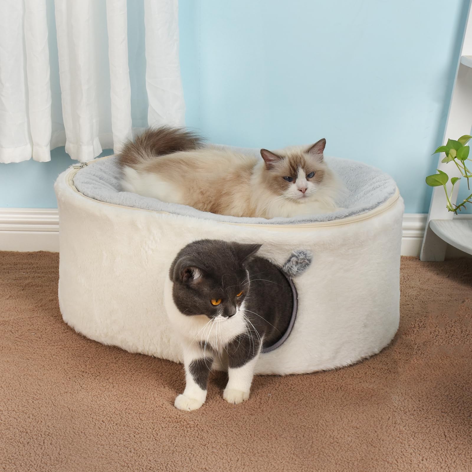 GUUSII HOME Elevato Letto per Gatti Cuccia Gatto Grande Gattino Casetta Cucciolo Cuccetta Interno Morbida Animale Domestico Casa con Fodera Lavabile Cuscino in Peluche Facile da Montare 60*45*27cm
