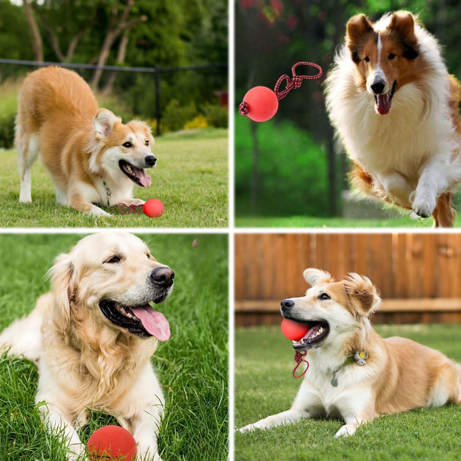 4 Pezzi PallaperCani con Corda,PallaperCane con Corda,Palla da Addestramento Cani e Catti,Pallina in Gomma Naturale,Adatto per l'addestramento e l'allevamento di animali domestici