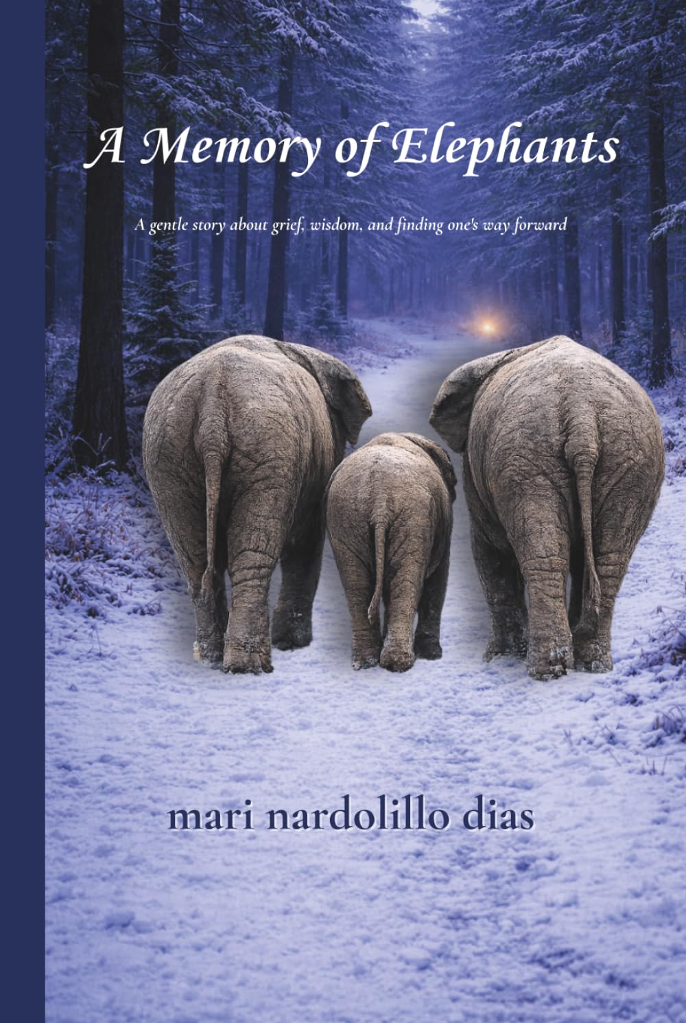 A Memory of Elephants: A gentle story about grief, wisdom, and finding one's way forward