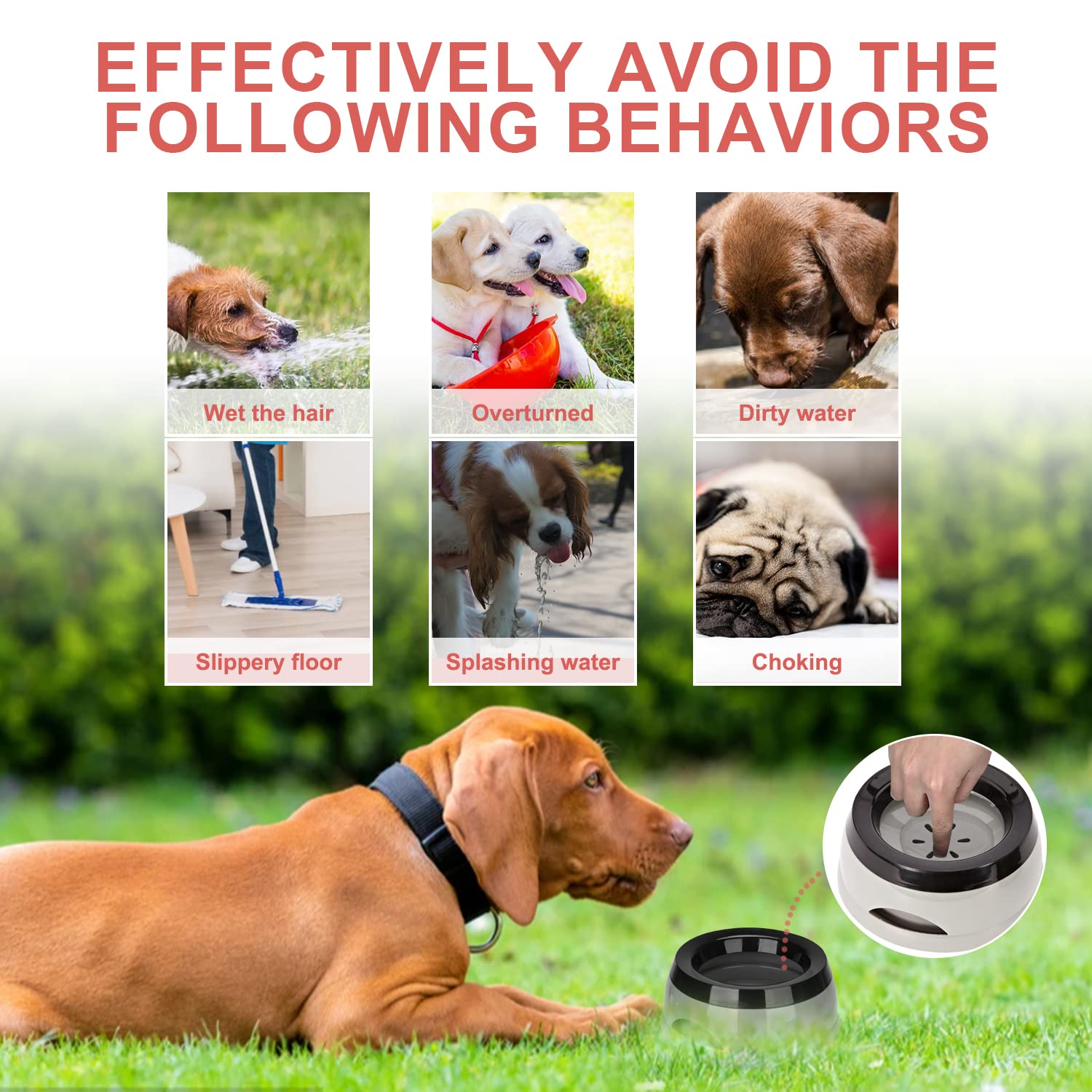 Pet Floating Water Bowl, Anti-Overflow Slow Drinking Dog Bowl, Portable Travel Dog Water Bowl - Image 2