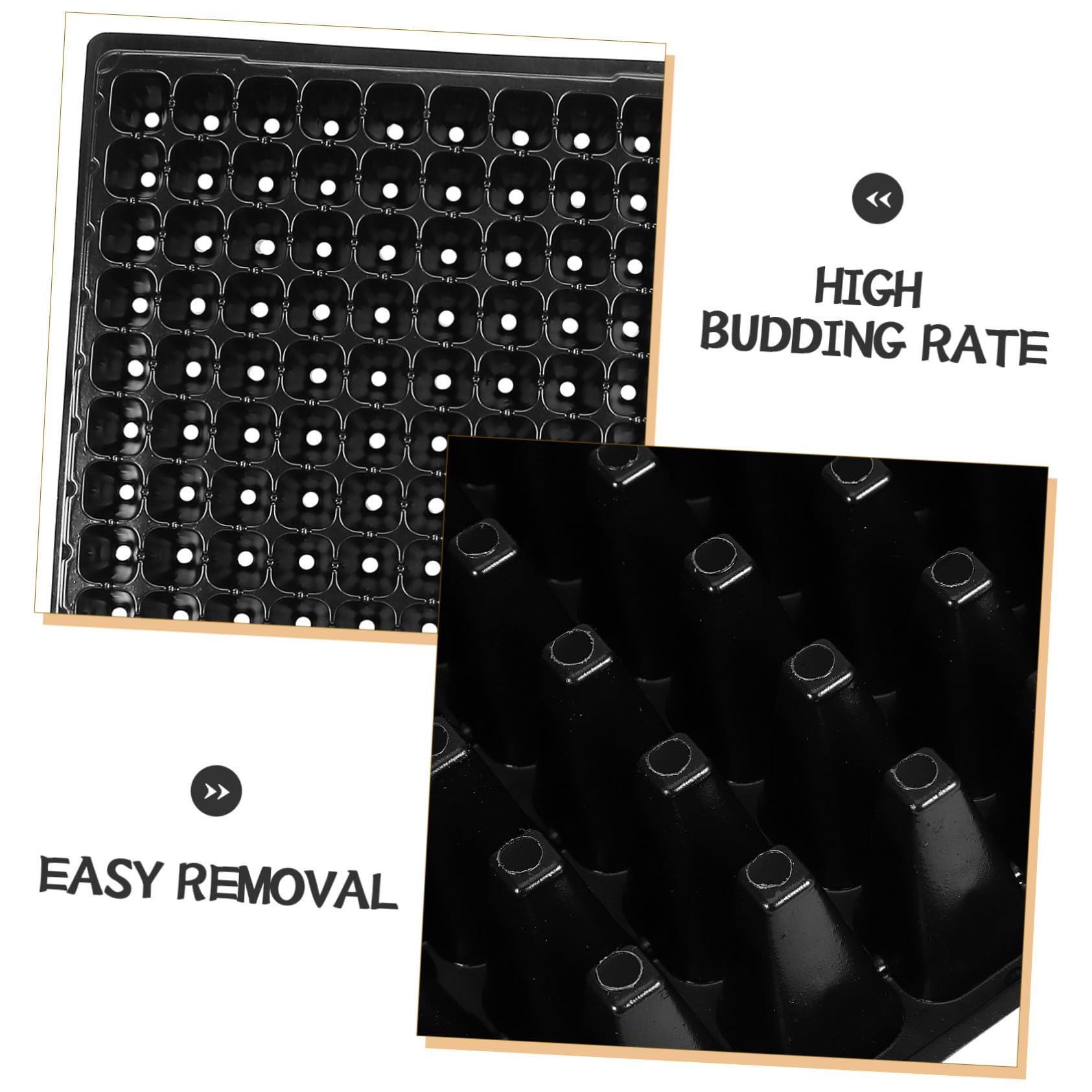 Plateau de Germination 10 Pièces 200 Cellules en PVC Noir pour Semis
