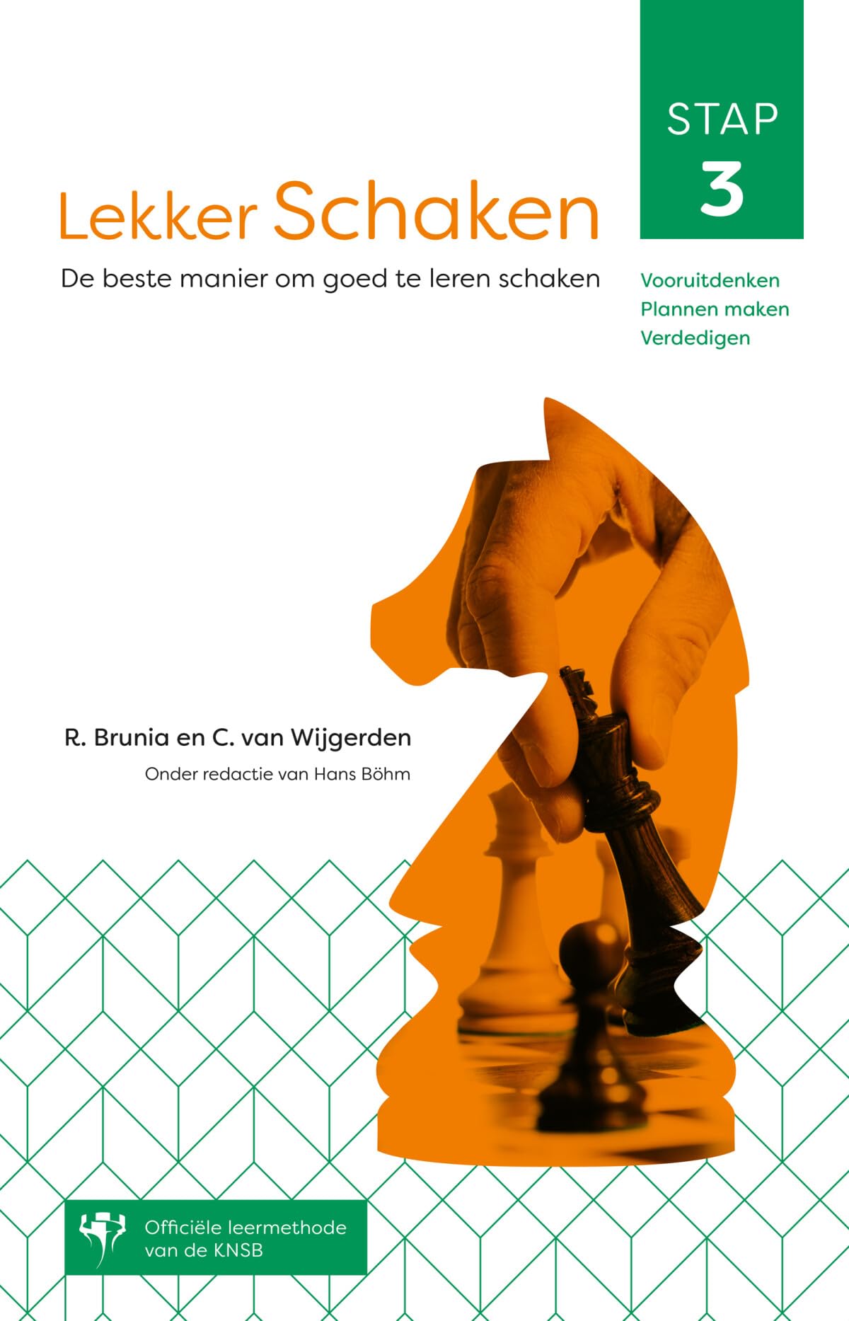 Lekker schaken: de beste manier om goed te leren schaken