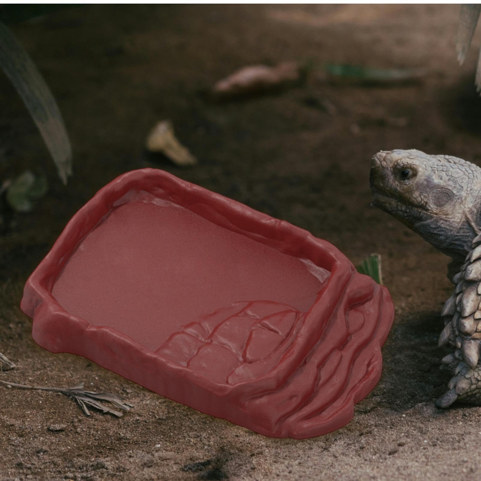 Whtkoph Reptile Food Bowl Bathing Pool Feeding Plate Anti Slip Habitat Amphibian Feeding Dish for Hamster Terrarium Decor, L