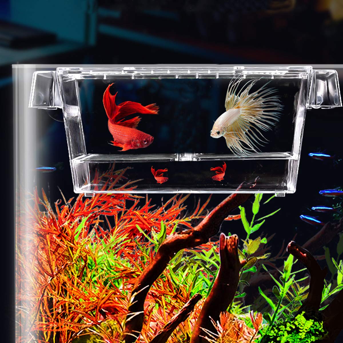 Kissral Fish Breeding Box Baby Fish Hatchery with Lid Transparent