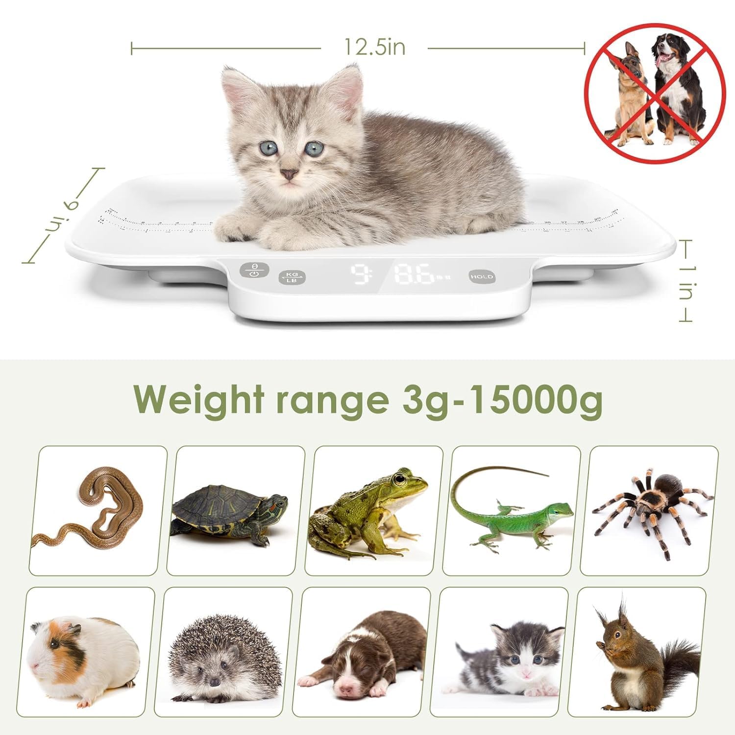 Waga dla małych zwierząt, z funkcją trzymania, dokładność 1 g/0,035 oz, maks. 15 kg/33,06 lbs, odpowiednia dla nowo narodzonych zwierząt domowych, kociąt, chihuahua, kotów