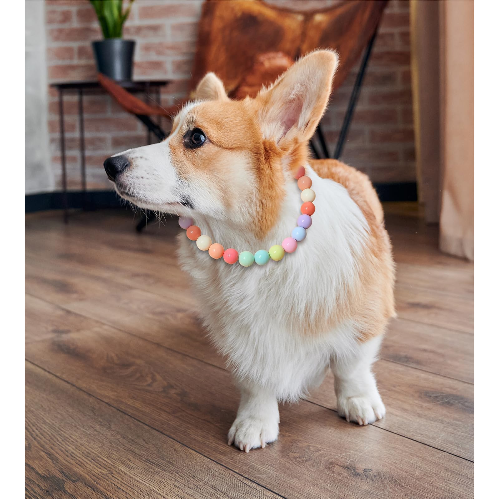 beaded bracelet friendship bracelet dog collar