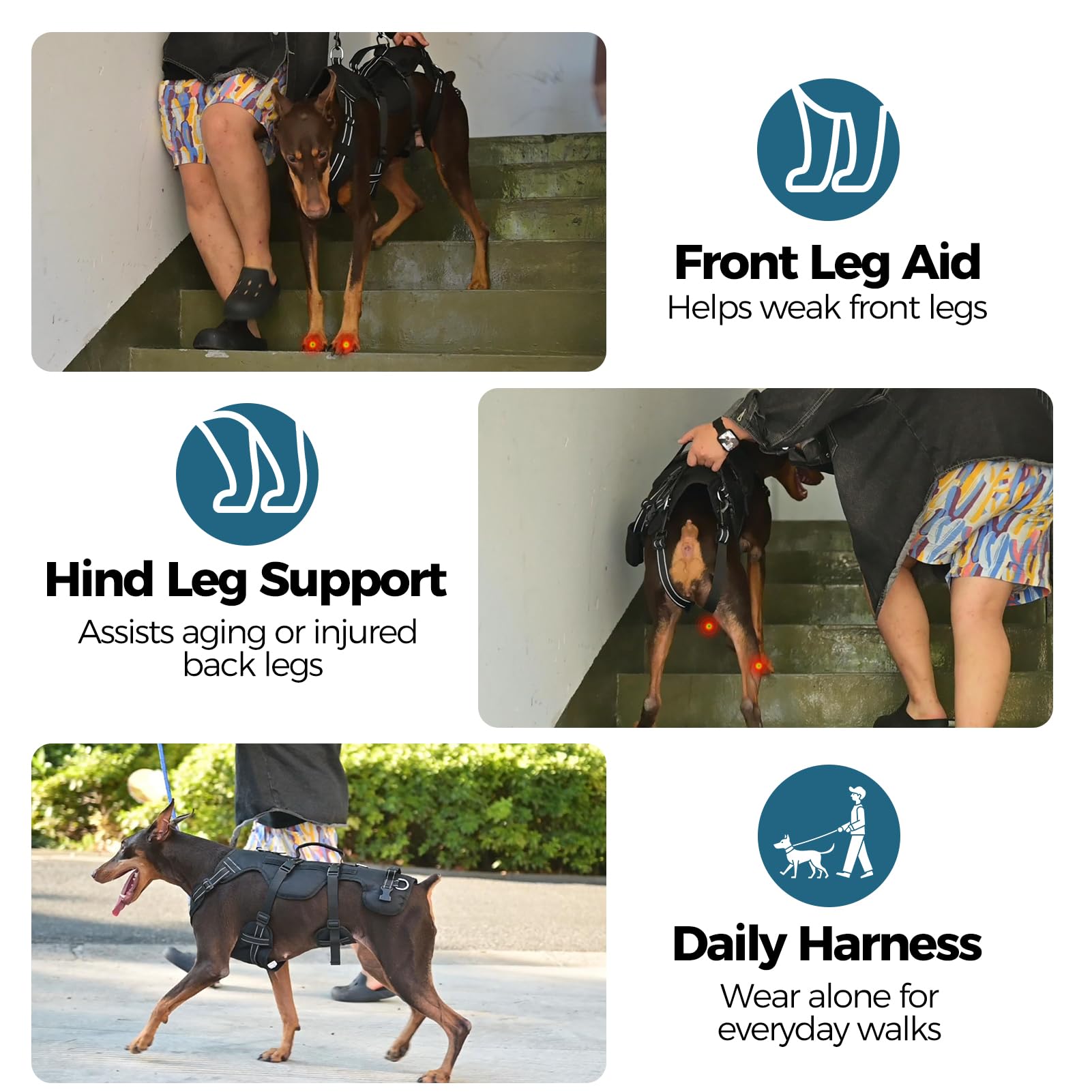 BINGPET Arnés de elevación para perros, soporte de pierna trasera para perros grandes, arnés reflectante ajustable con asa, correa multifuncional para perros mayores lesionados