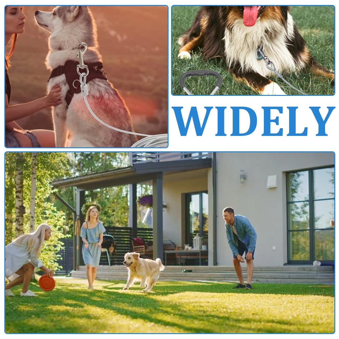 Guinzaglio Per Cani In Acciaio Inox - 3m X 3mm Con Gancio Girevole 360° - Foto 13