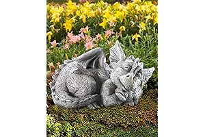 CT DISCOUNT STORE Baby Sleeping Dragon