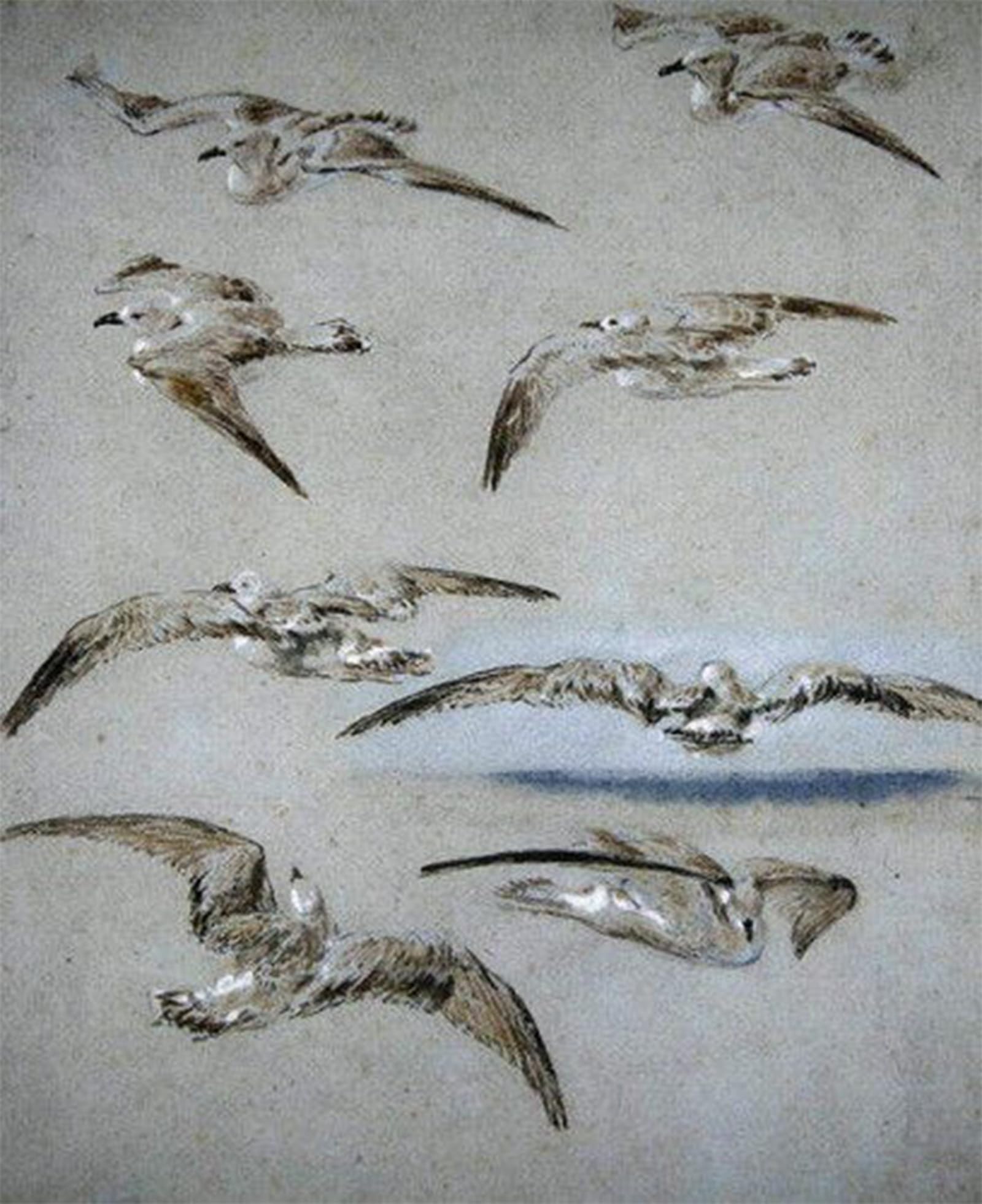 SERENDIPITP Vintage Wall Art Canvas Nordic Poster Canvas Print Picture Seven Seagulls by William Clarkson Stanfield Wall Art Poster for Home Decor 60x90cm
