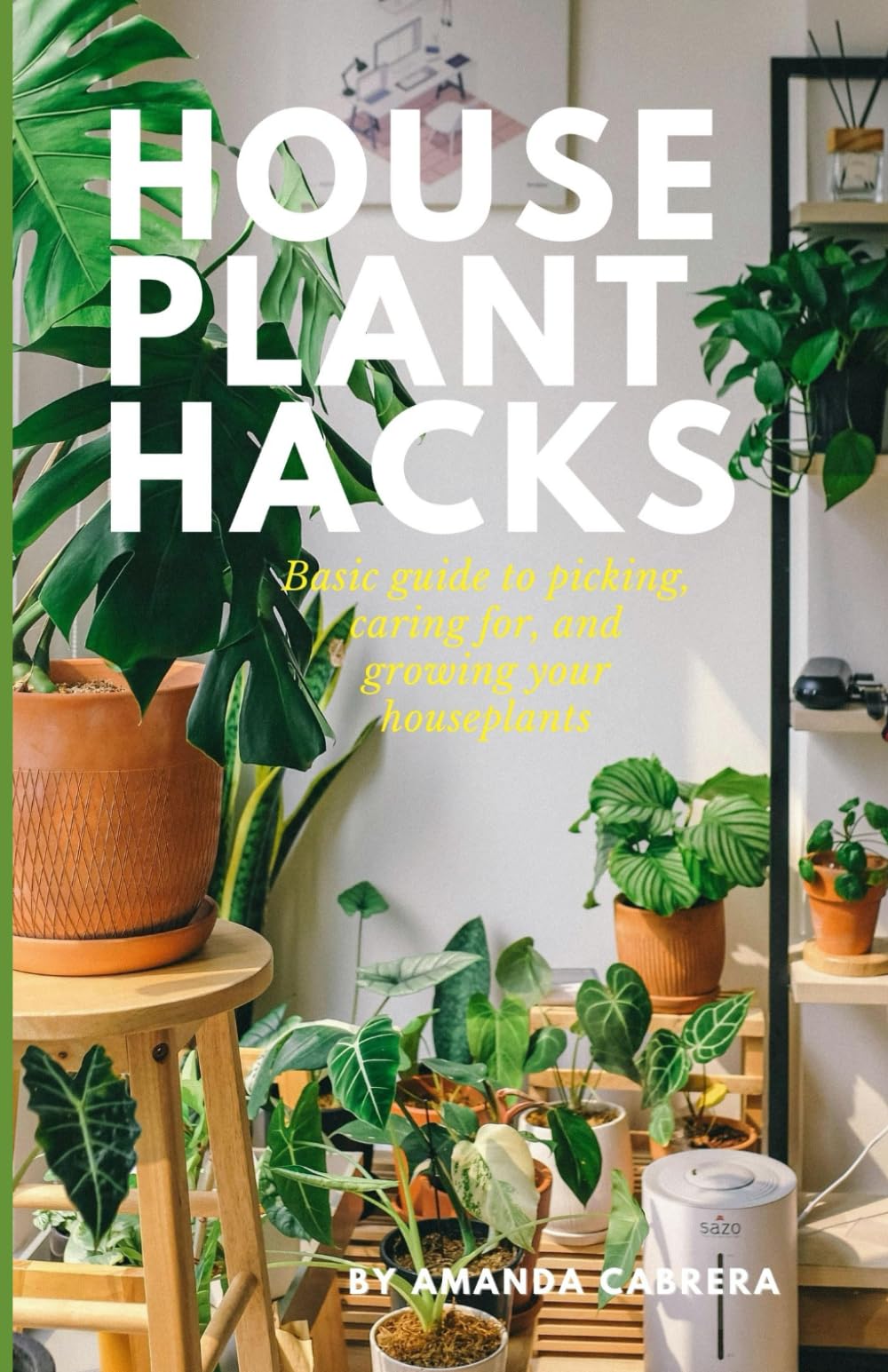 Houseplant Hacks: Basic Guide to Picking, Caring for, and Growing your Houseplants