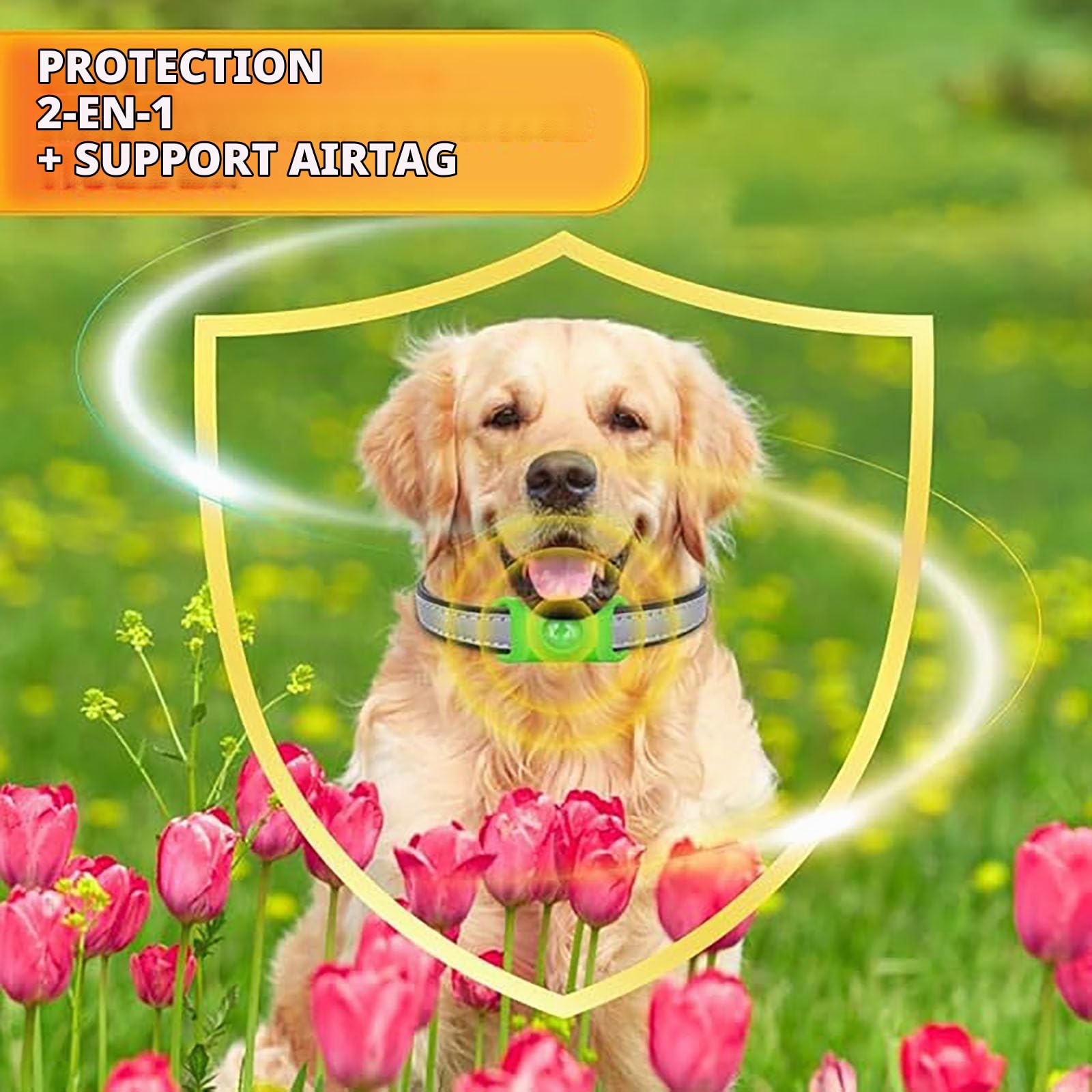 Colliers, médailles et pendentifs réglables pour Chiens, 100% naturels, adaptés à Toutes Les Races de Chiens. Imperméables, Ils résistent à la Pluie, à la Boue, aux rivières et à la baignade