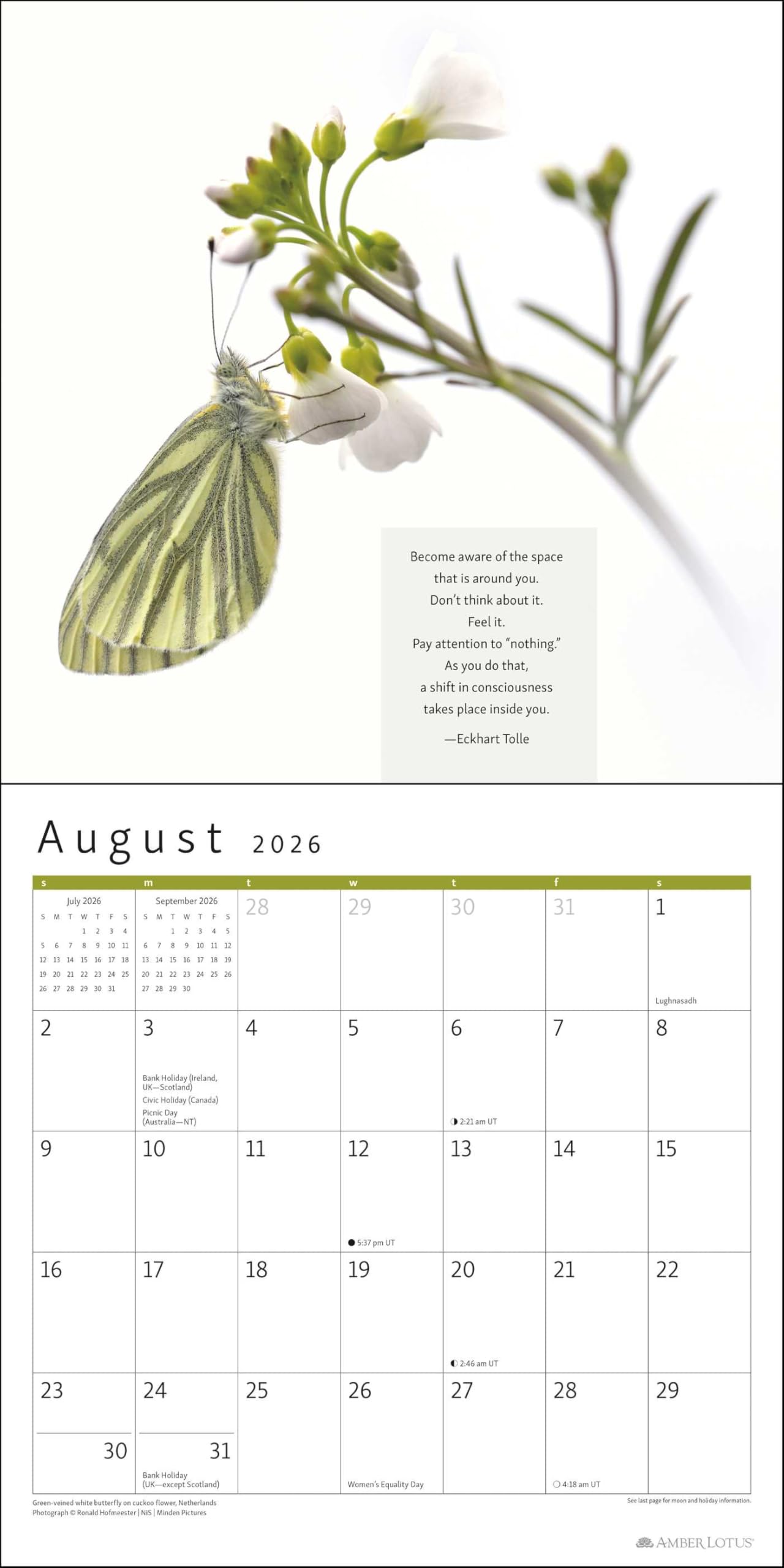The Power of Now 2026 Wall Calendar: A Year of Inspirational Quotes