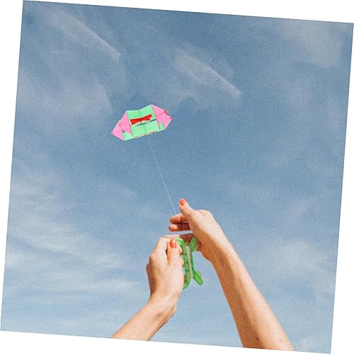 Miniatura 4 de Homoyoyo Juguetes de cumpleaños para niños, juguetes de playa para niños, juguetes de cometa de flor, cometa de mosca 3D, cometa de seda, cometa 3D,