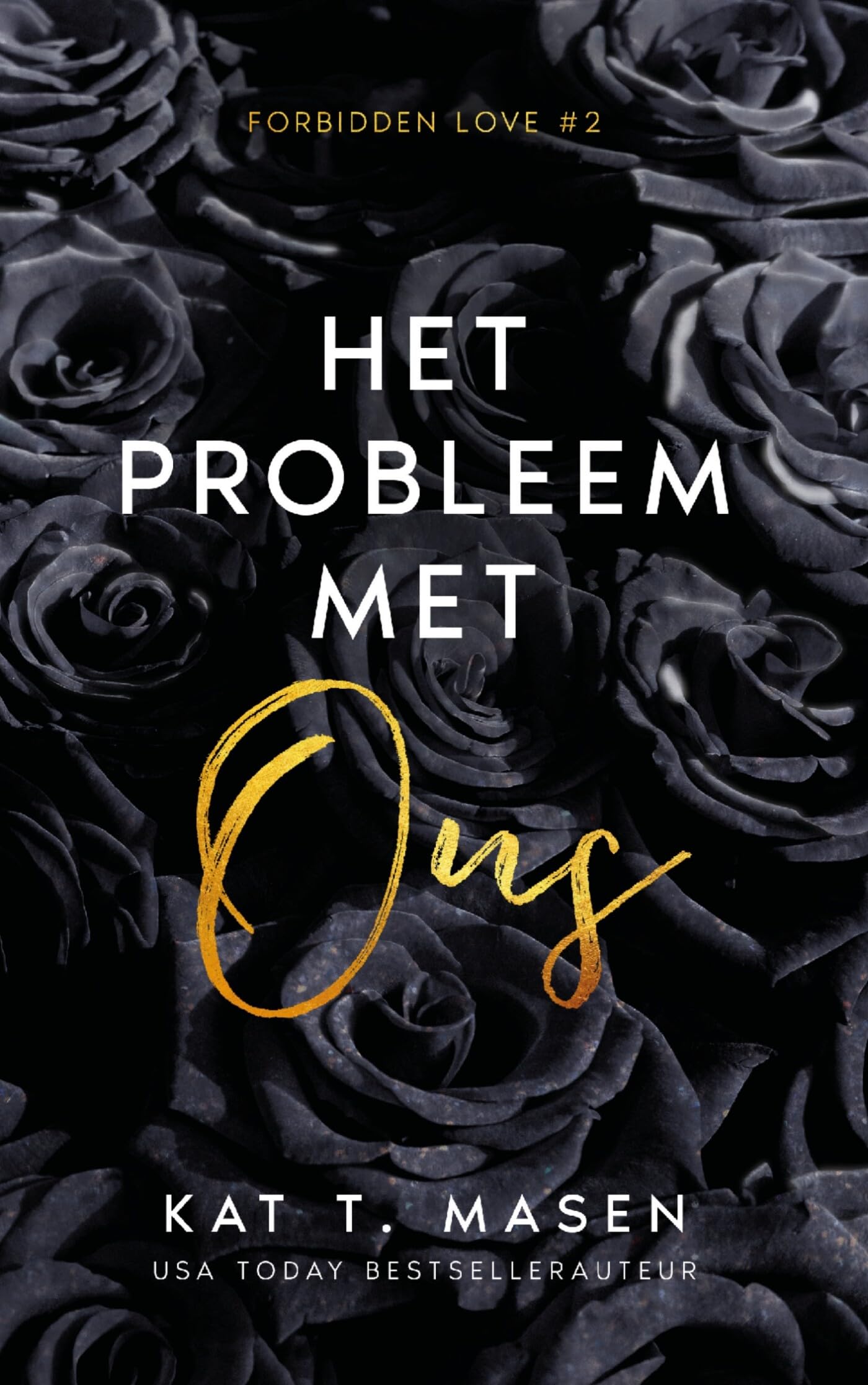Het probleem met ons (Forbidden Love, 2)