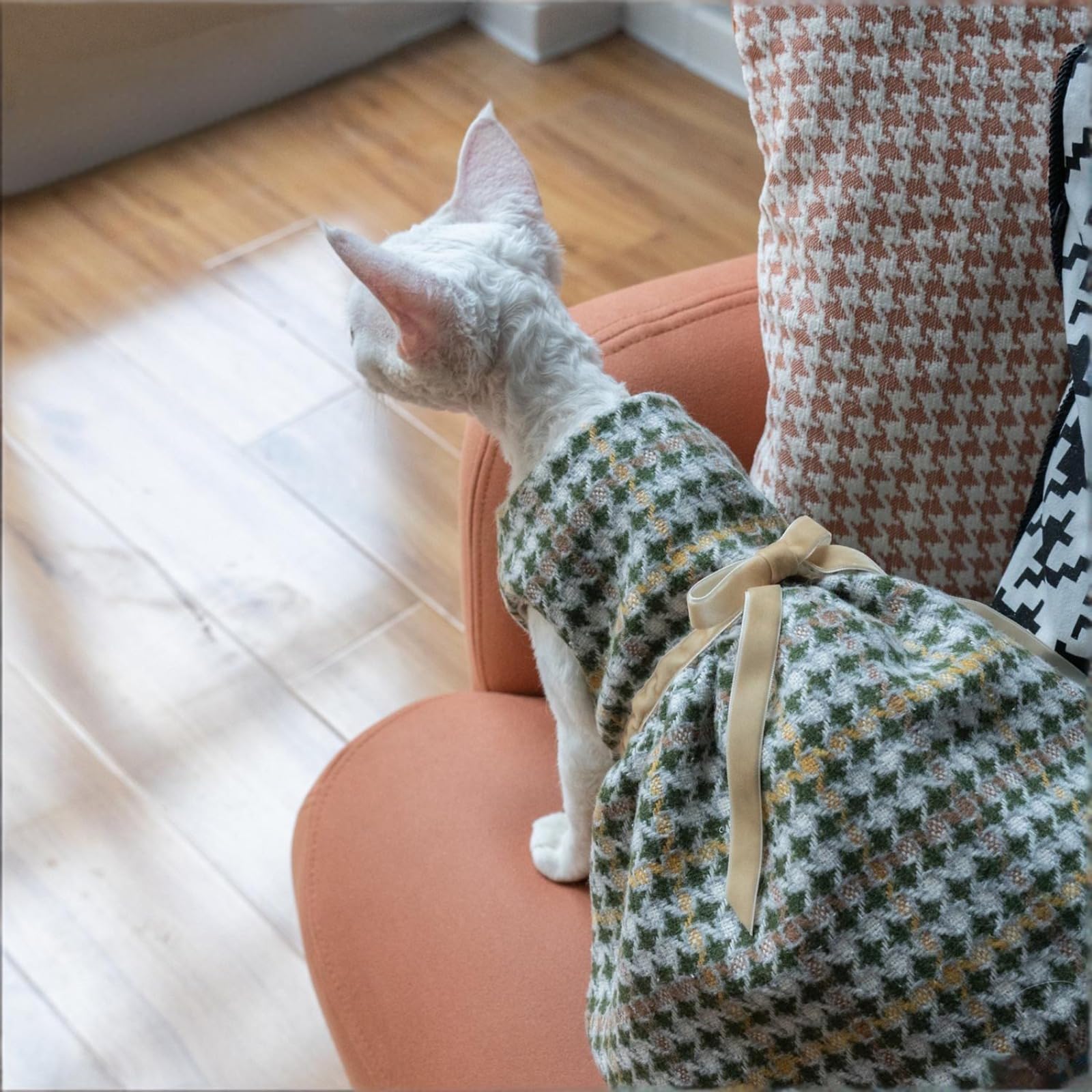 OMEM Vestido de gato de pata de gallo con lazo, ropa de gato con forro de algodón suave para gatos sin pelo Sphynx, elegante traje de invierno para gatos pequeños a grandes, M a XXXL (XL+)