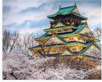 Amazon | 桜に囲まれた日本のお城 ロマンチックな街並み 数字キット