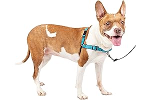 PetSafe Easy Walk Deluxe Dog Harness: The Perfect Hot Weather Solution For...