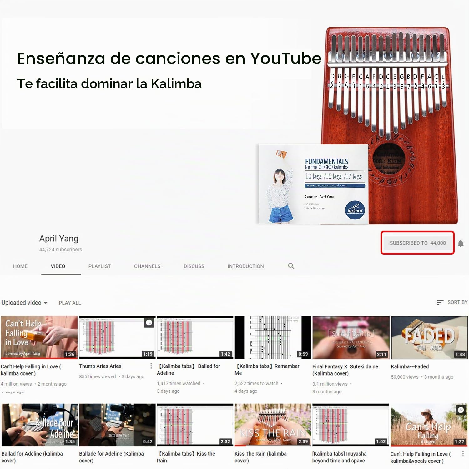 GECKO Kalimba 17 Keys Thumb Piano builts-en caja de protección EVA de alto rendimiento, martillo de afinación e instrucción de estudio.