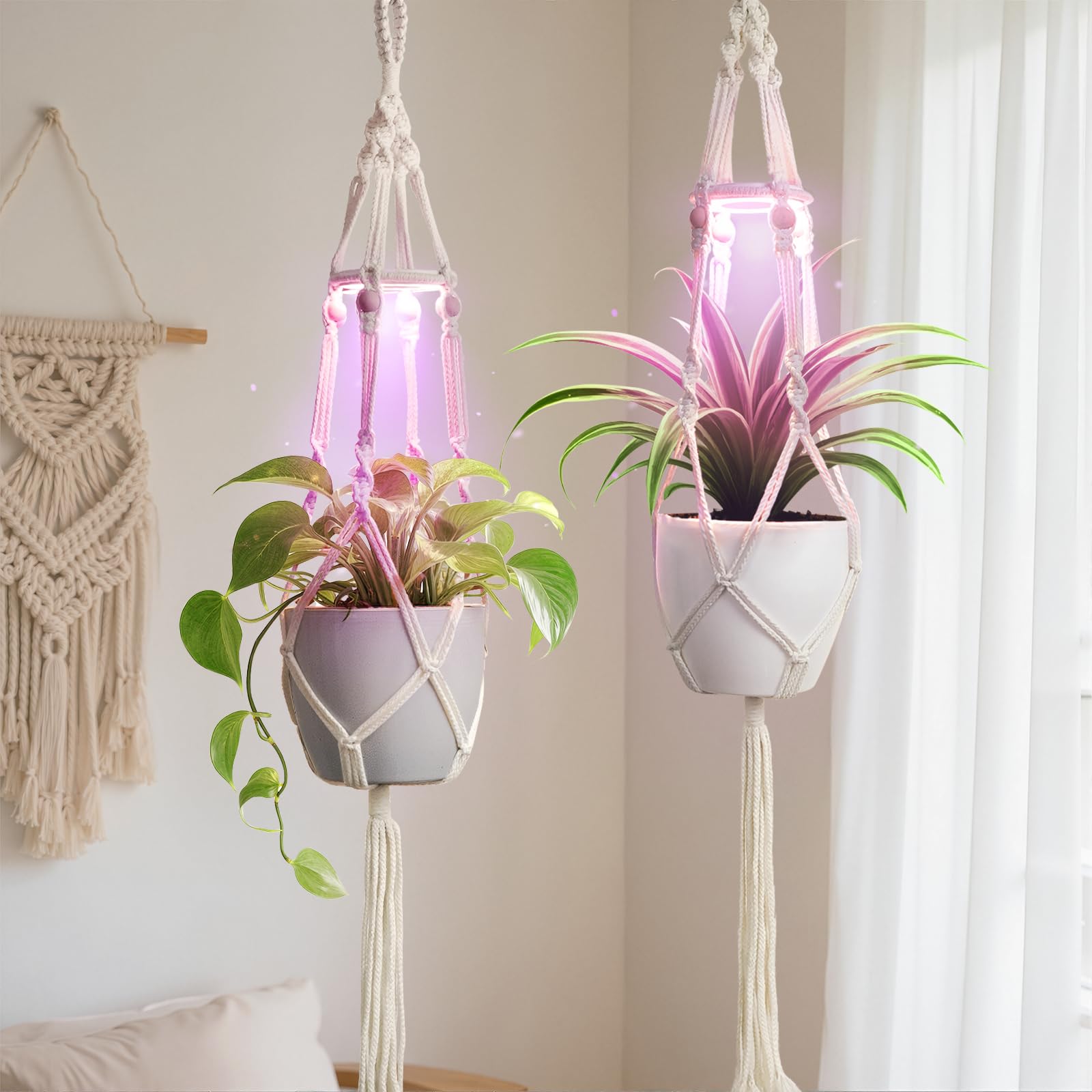 Amazon.com : MSFON 2 Pack Macrame Plant Hanger with Grow Light: Boho Hanging  Planters with Light for Indoor Plants, Ideal for Apartments, Small Spaces,  Low-Light Rooms (GrowPro Spectrum) : Patio, Lawn &