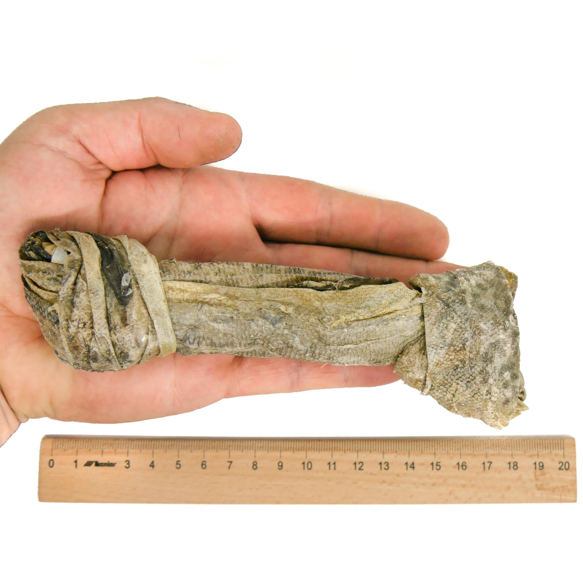 RF-Deer Kauspielzeug für Hunde Fisch Kabeljauhaut für Hund 1 kg - Kauknochen zur Natürliche Zahnpflege, Hundeleckerli Natürlich, Leckerlis, Welpenspielzeug, Hunde Kauartikel