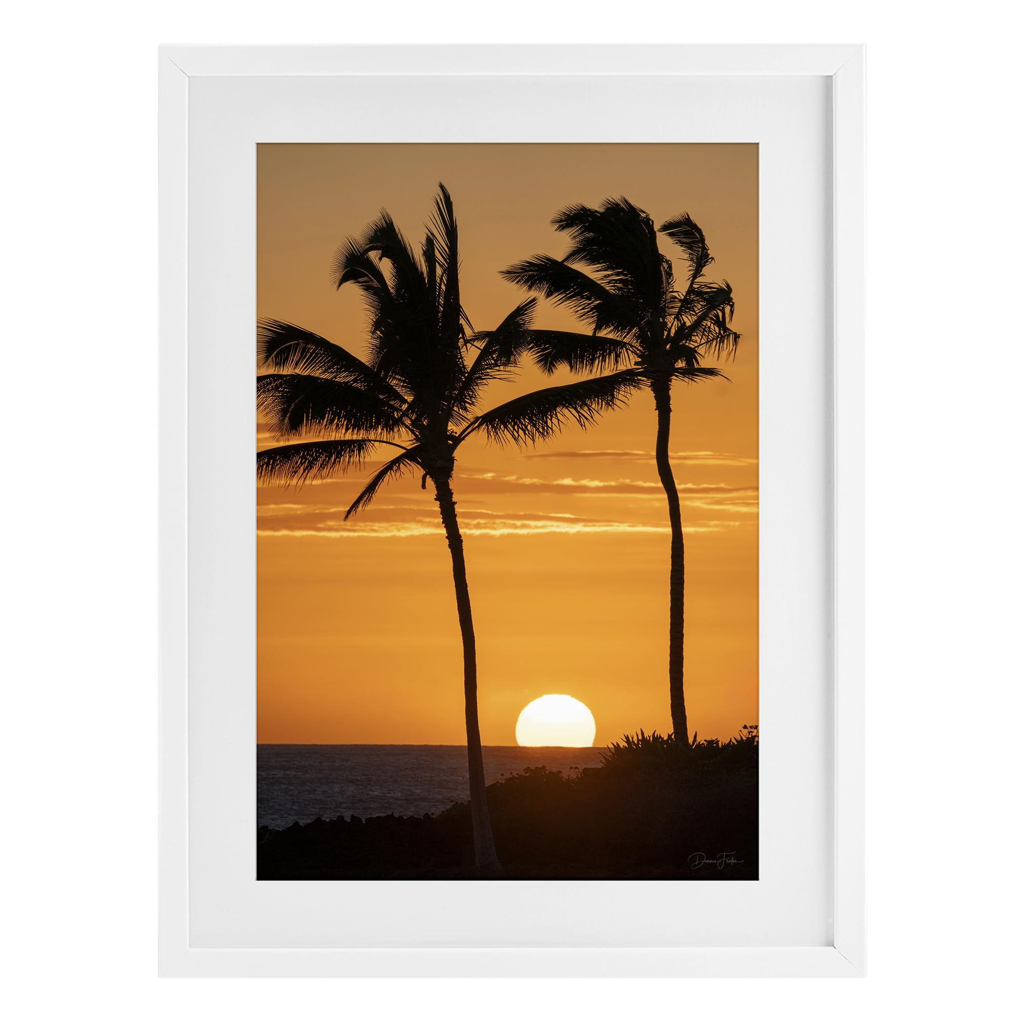 Stupell Industries 'Sunset Through Palm Trees', Framed Print Under Glass, White, 14 x 20 Inches, Easy to Hang and Sturdy, Made in USA, by Dennis Frates