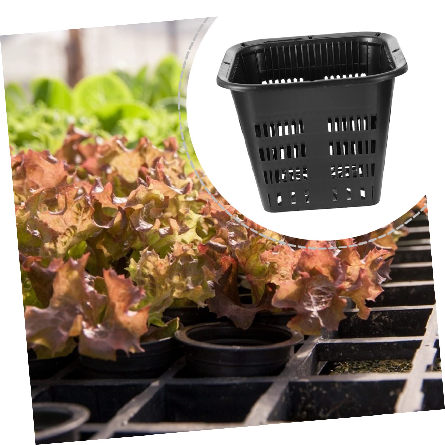 10stücke Pack Hydrokultur-blumenkörbe Kunststoff-netzkorb Garten-pflanzkörbe Mit Löchern Für Drainage Schwarz
