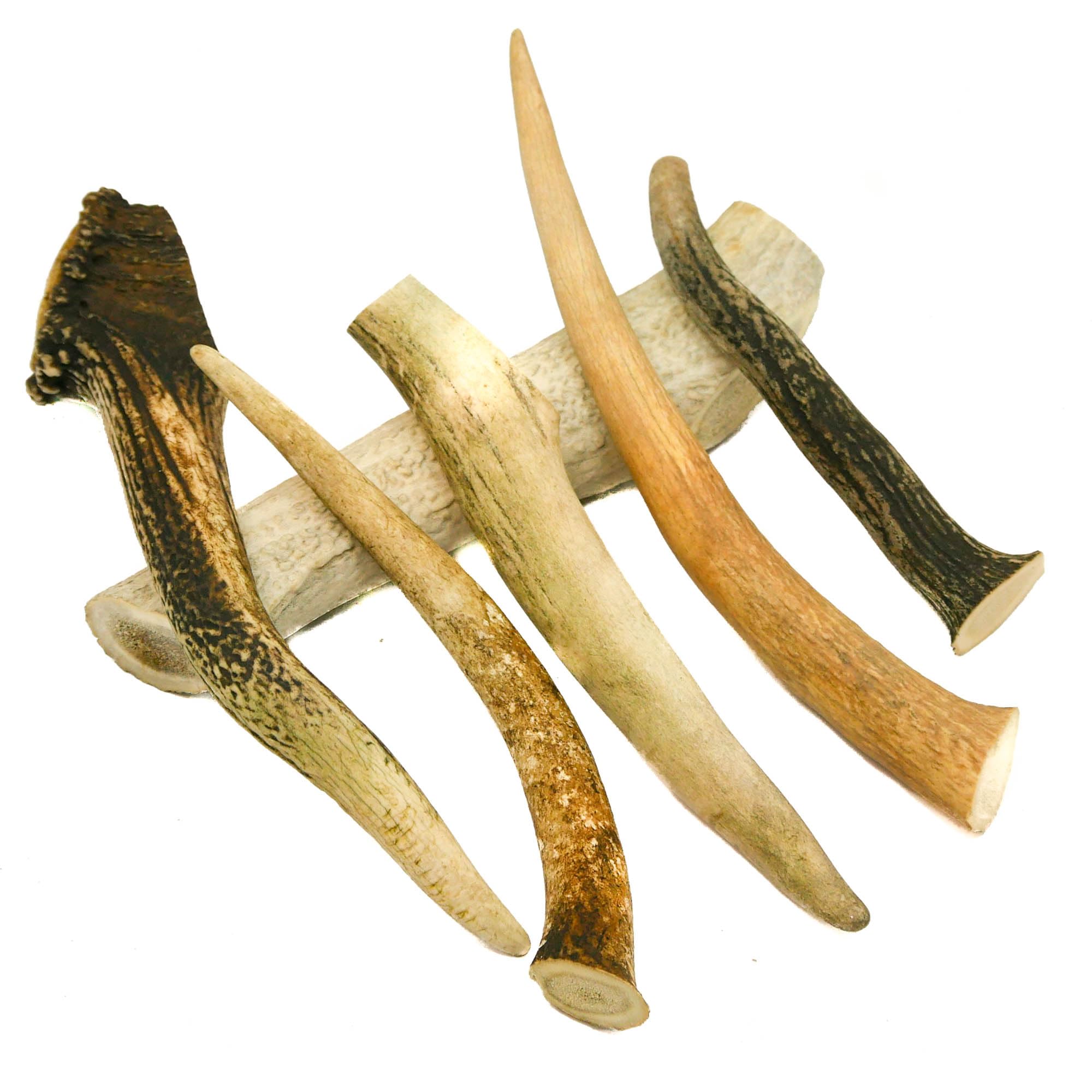 RF-Deer Asta de Ciervo Natural, Decoración Única, Juguete para Perros, Juguete de Masticar, Seguro para Perros, La Subasta Incluye la Venta de 1 kg (20-30 cm, 4-8 Piezas)