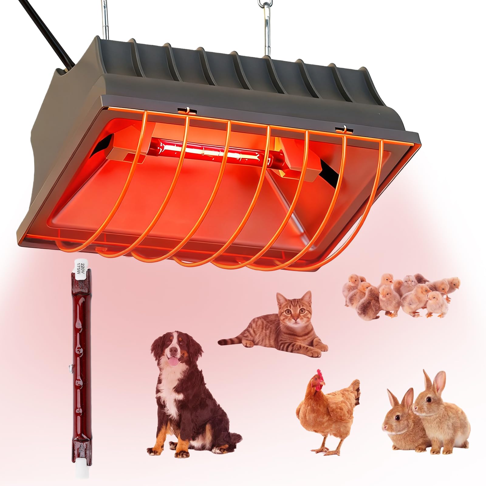 Rotlichtlampe Wärmelampe für Küken, 175W Heizlampe Hühnerstall Kückenlampe Infrarotlampe, Automatische Thermostatisch Wärmelampe Tiere mit Sparschalter und 1,8m Kabel für Küken Ferkel Welpen