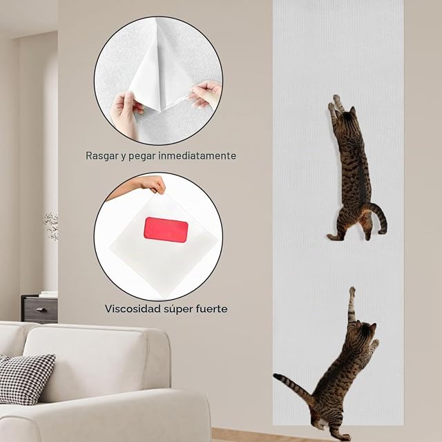 Foto 5 de 8 de Protector Sofa Rascador Gatos Pared Rascador Gatos Sofa