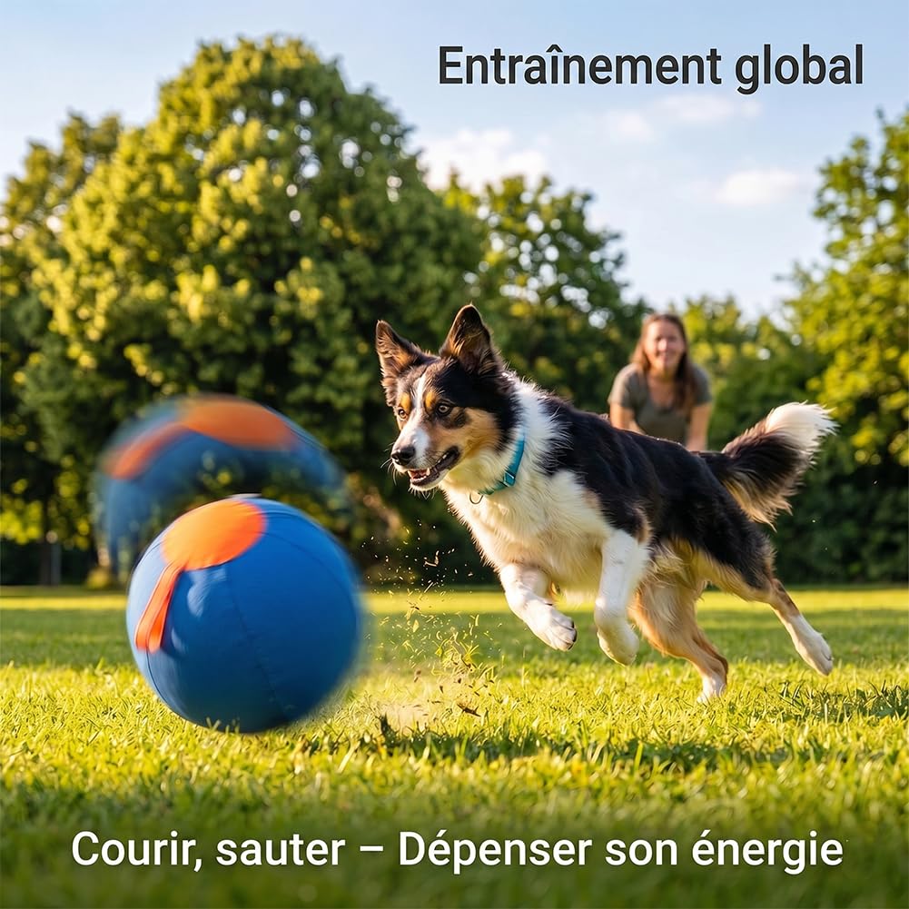 45/55/65 Cm Balle De Troupeau pour Chien | Ballon Géant Gonflable | Ultra Résistant aux Griffes et Mordillements | Poignée de Transport Intégrée | Idéal pour Jeux Interactifs (S:45CM)
