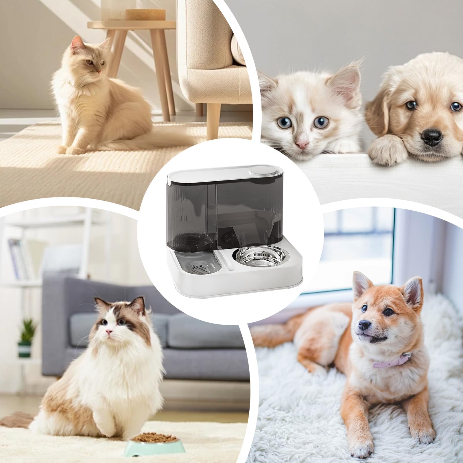 Automatyczny podajnik karmy i wody 2 w 1 dla psów - suchej zwierząt domowych