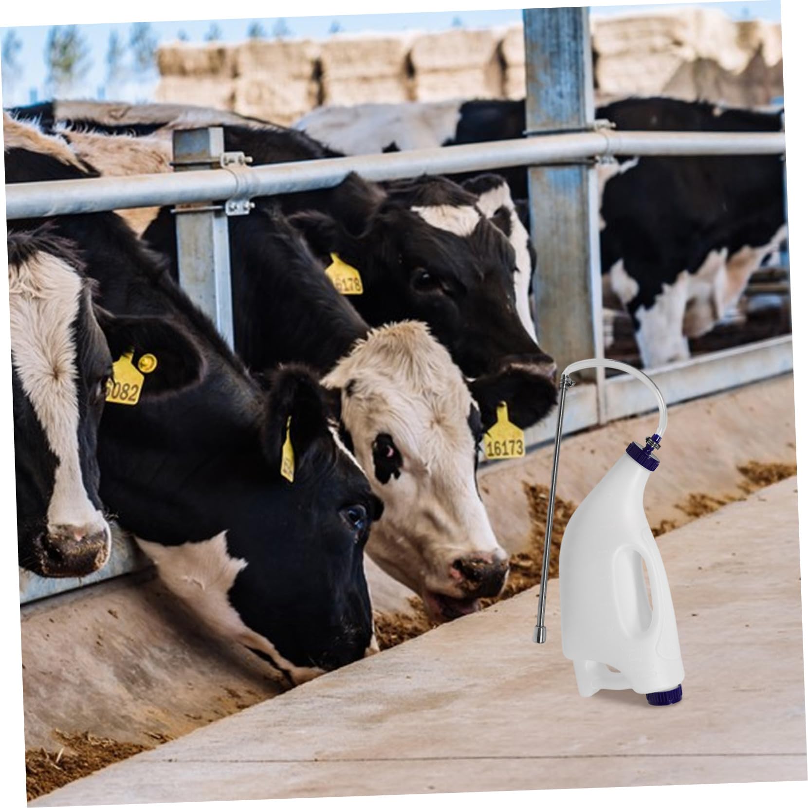 Hemobllo Biberon Per Vitelli Portatile Dispositivo Per Allattamento Dei Vitelli Alimentatore Per Tubi Attrezzatura Per Alimentazione Di Piccoli Animali Agnelli Capre