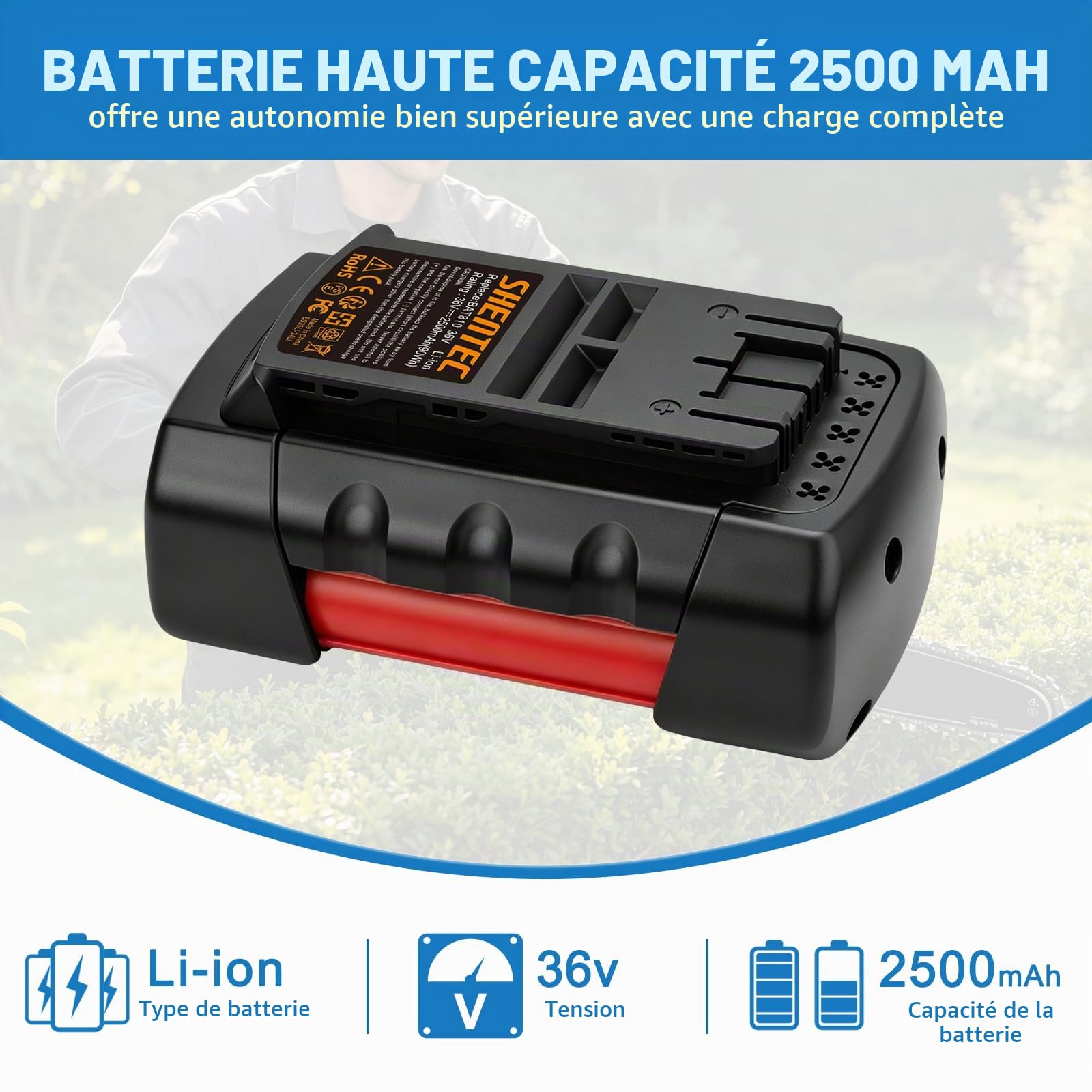 Batterie Li-ION 36 V Compatible avec Bosch Rotak 34 37 43 1600Z0003C 2607336003 2607336004 2607336107 BAT810 BAT836 BAT836 BAT8400003D