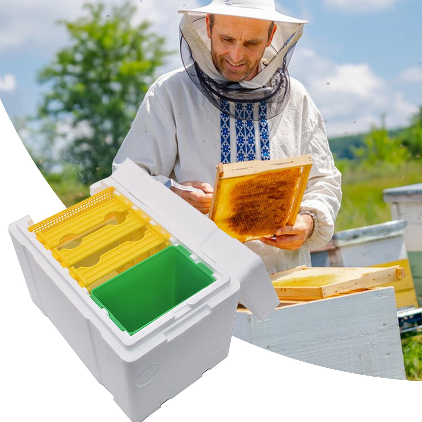 Boîte à ruche de soutien de la Reine - Optimisation des performances dans la ruche en mousse de mousse de série, accessoires de jardin avec compartiment pour débutants, terrasse de jardin d'hiberné
