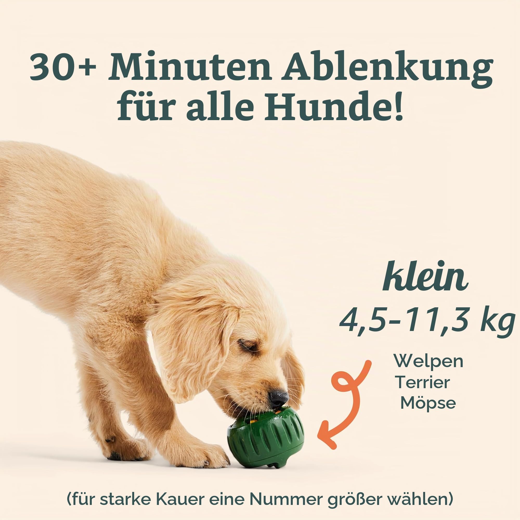 WOOF Pupsicle and Treat Tray - Langlebiges interaktives Hundespielzeug gegen Langeweile und Silikonform - wiederverwendbar, spülmaschinenfest - für kleine Hunde von 4,5-11,3 kg