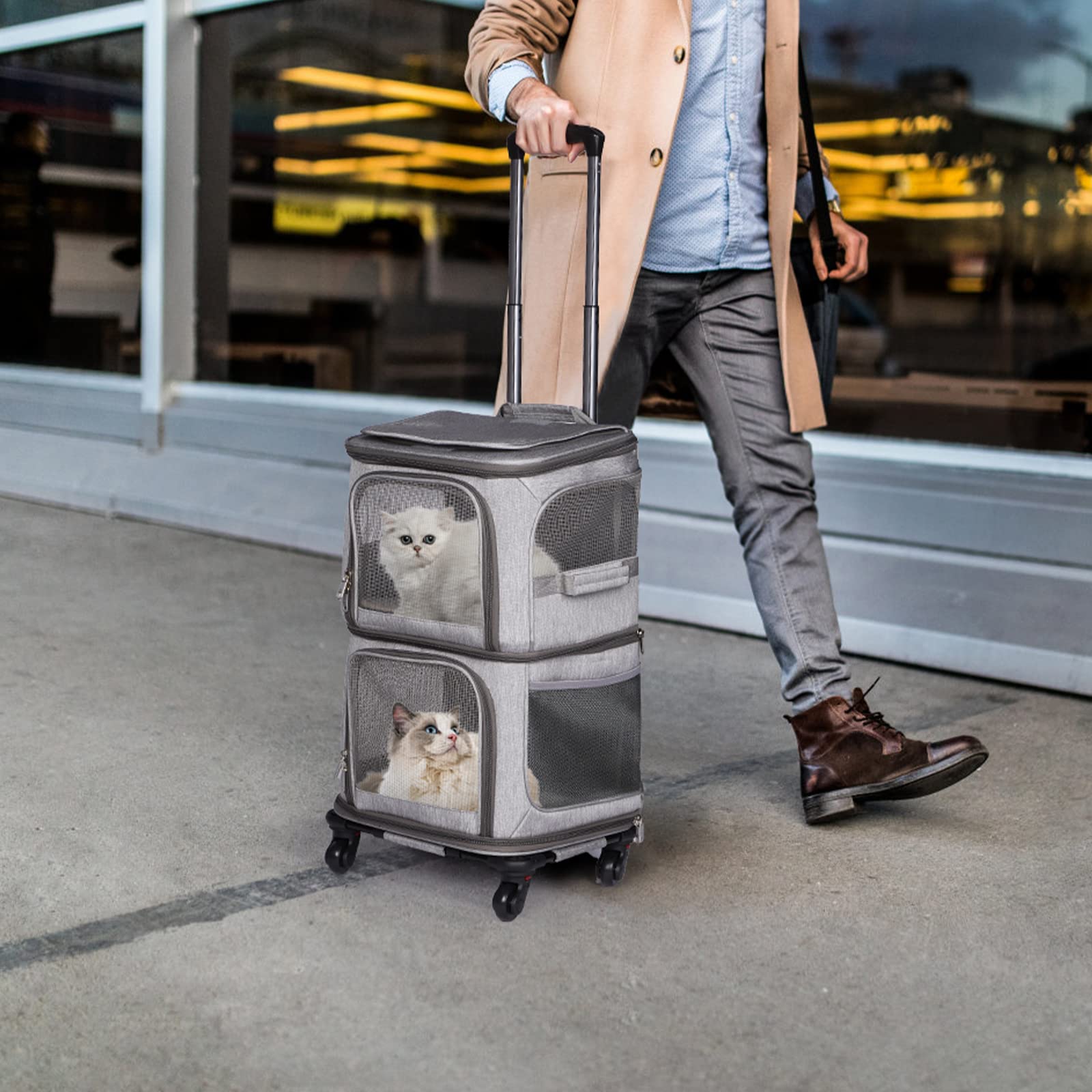 Katzentransportbox für 2 Katzen mit Rollen, transportboxen für 2 Katzen bis 12kg, Faltbarer Katzentransporttasche für 2 kleine Hunde/Kaninchen, Grau