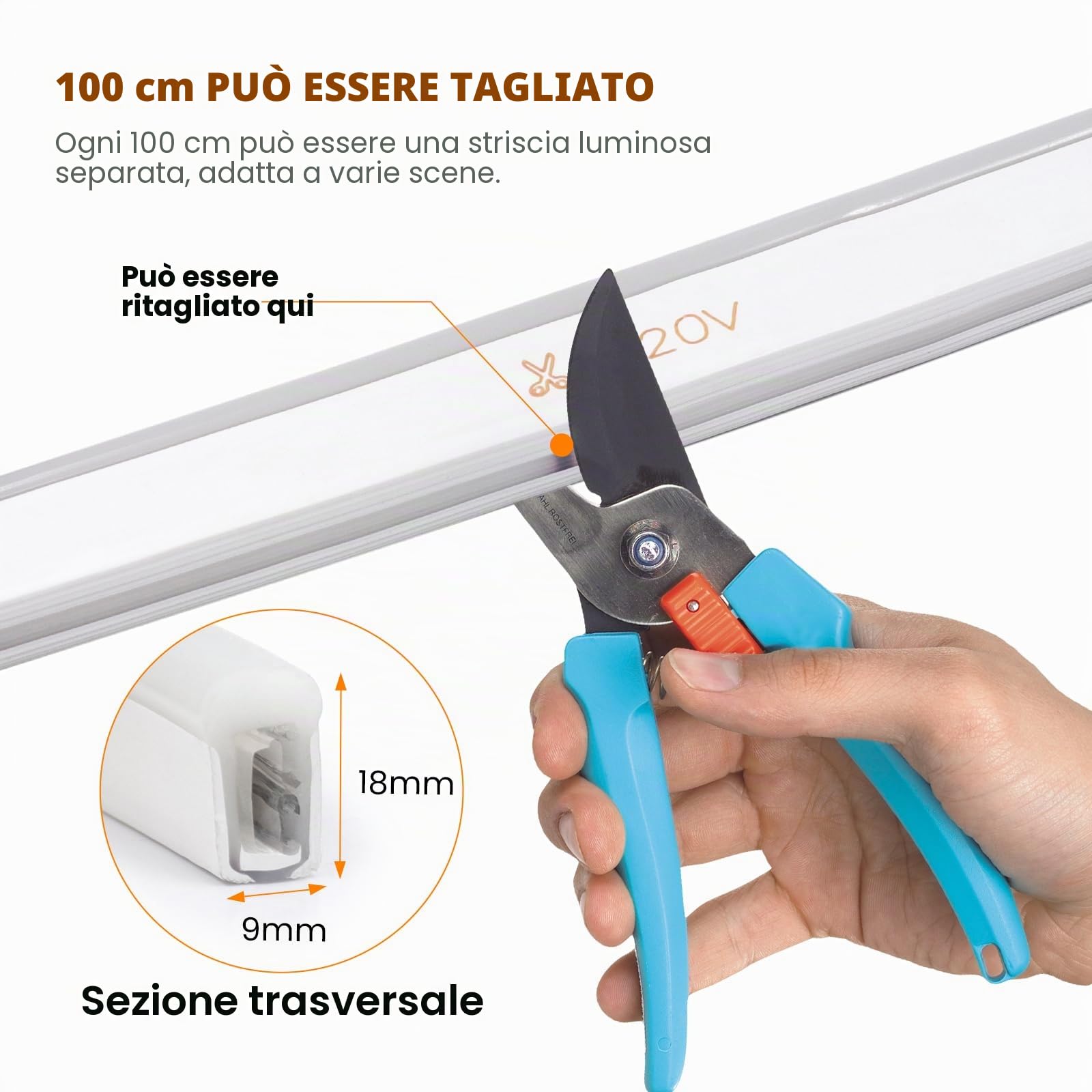 220V Striscia LED Neon Flessibile Dimmerabile CRI85+ [2M, RGB], IP65 Impermeabile, con Controller RF RGB 750W, SMD5050 per Decorazione Domestica e Negozi, Dimensioni: 10x20mm