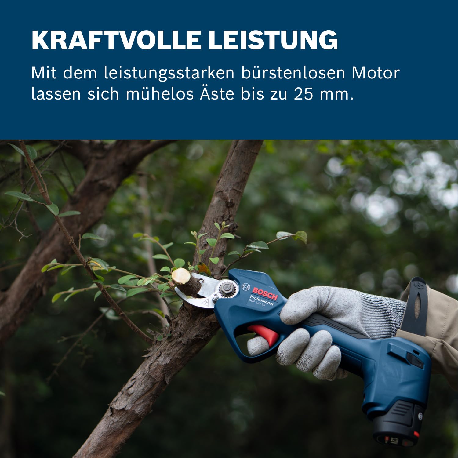 Bosch Professional 12V System Astschere GGP 12V-25 (bis zu 4.500 Schnitte pro Akkuladung, bürstenloser Motor, 25-mm-Schnitte)