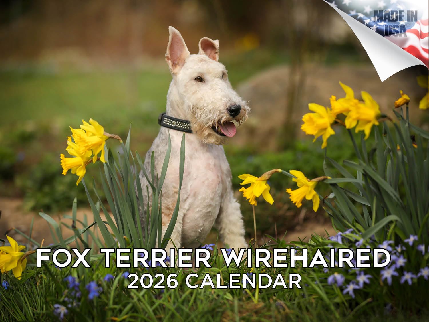 2024 2025 Fox Terrier Wirehaired Calendar - Dog Breed Monthly Wall Calendar - 12 x 18 Open - Thick No-Bleed Paper - Giftable - Academic Teacher's Planner Calendar Organizing & Planning - Made in USA