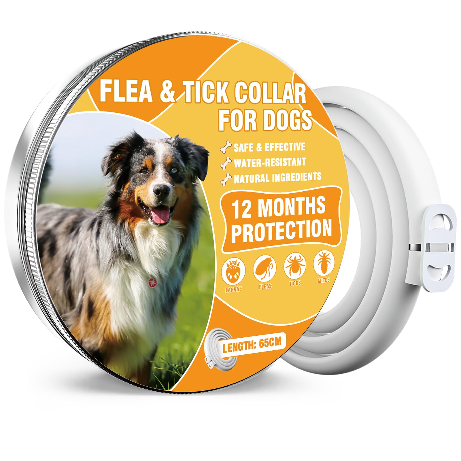 Collare Antiparassitario Per Cani, 12 Mesi Di Protezione Efficace, Collare Antipulci Cane Da 65cm, Regolabile e Impermeabile, Efficace Repellente Per Insetti, Adatto a Cani Di Tutte Le Taglie (1 Pack)